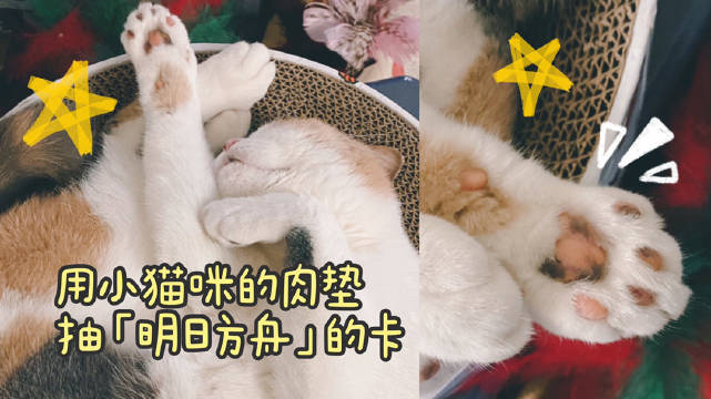 花样宅家挑战